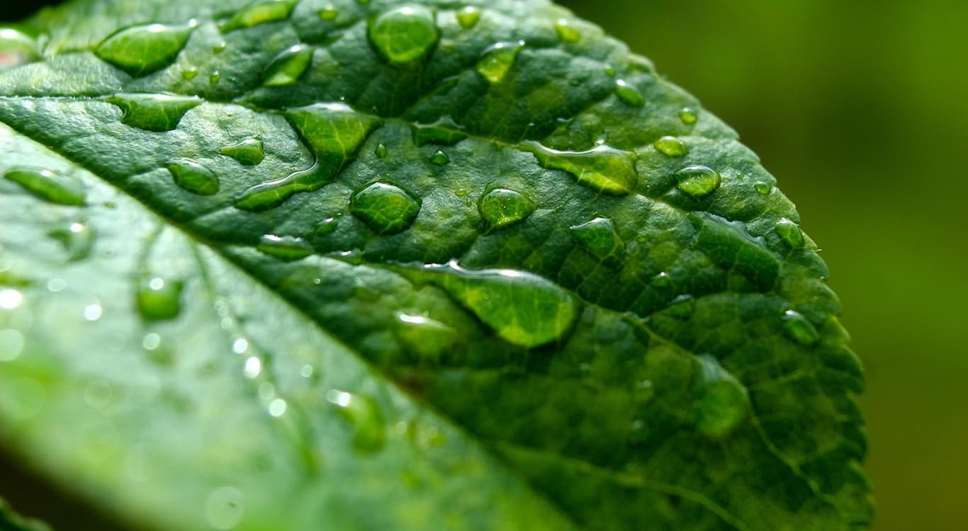 Sustainability